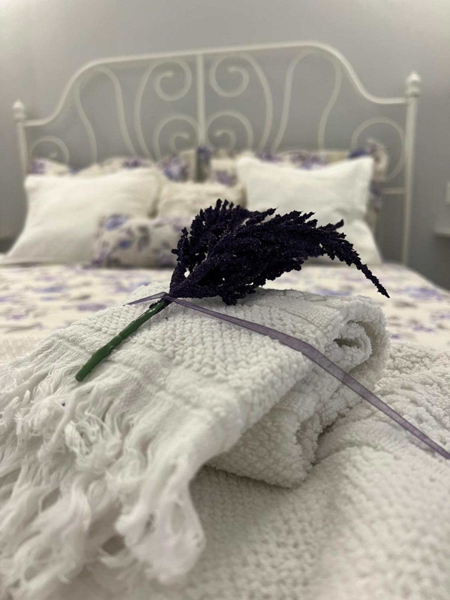 B&B Puglia D'Amare Lizzano  Ruang foto